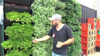 Wall Garden  Vertical Garden Installation amp Operation [upl. by Laersi]