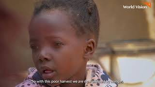 Surviving the Drought Rosemary Kadyongos Fight for Her Familys Future in Chibombo District [upl. by Nannek798]