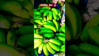 हाम्रो अगानिक केरा🍌🍌sabaile subcribe pani gardinuhoi🙏MamataSampang5 [upl. by Imiaj]