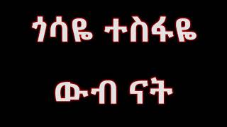 Gossaye Tesfaye Web nat [upl. by Godwin235]