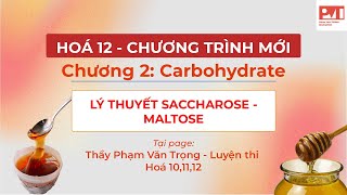 HÓA 12CHƯƠNG 2 LÝ THUYẾT SACCHAROSE MALTOSE [upl. by Cousin258]