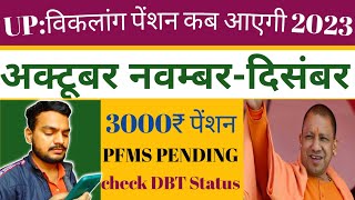 viklang pension Kab aaegi Pensions विकलांग पेंशन कब आएगीViklang Pension UP  Divyang pension [upl. by Vas]