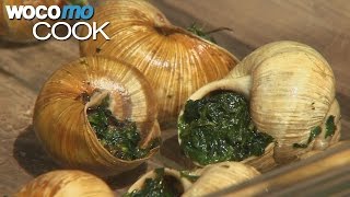 Snails  Gathering and Cooking the French Delicacy [upl. by Ysied]