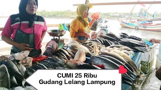 Cumi 25 rb Gudang Lelang Teluk Betung Bandar Lampung hari ini  Garwo TV [upl. by Nerta]