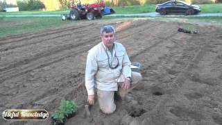 How to Plant Jalapeno Peppers in your Garden  Useful Knowledge [upl. by Ahsienyt629]