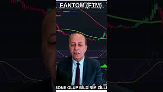 Fanton Coin FTM yükseliyor ftm fantomcoin shorts 2023 [upl. by Adnolahs788]