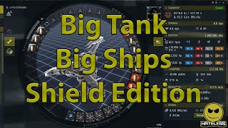 Shield Bulk Buffer Fit BattleShips Post Buff [upl. by Selbbep]