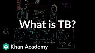 What is TB  Infectious diseases  NCLEXRN  Khan Academy [upl. by Juliette]