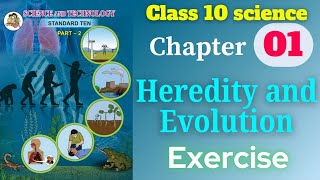 Heredity and Evolution class 10 science and technology part 2 chapter 1 exercise solutions [upl. by Nadabus]