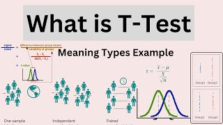 What is T Test  Meaning  Types  Example [upl. by Bud]