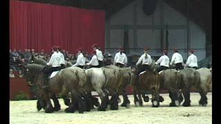 Show De Brabander 2004 [upl. by Isaacs529]