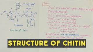 Chitin  chitin polysaccharide  structure of chitin [upl. by Sheaff]