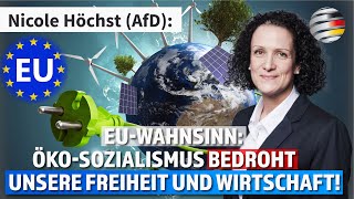 EUWahnsinn ÖkoSozialismus bedroht unsere Freiheit und Wirtschaft  Nicole Höchst AfD [upl. by Essilevi185]