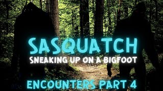 HOW I SNUCK UP ON A YOUNG BIGFOOT IN THE MISSOURI OZARKS ENCOUNTERS PART 4 [upl. by Joselow268]