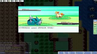 PokeMMO  Teddiursa Spinda Pineco Feebas Ponyta Rapidash y Magmar [upl. by Kenimod]