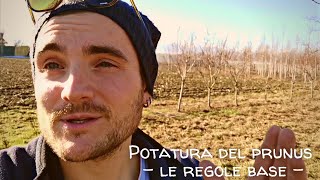 POTATURA DI UN PRUGNO IN TIMELAPSE  LE REGOLE BASE [upl. by Hut]