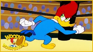 Woody Woodpecker Show  The Contender  1 Hour Compilation  Videos For Kids [upl. by Rennerb]