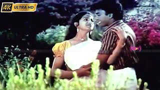 தை மாசம் ஒரு பூவாசம் பாடல்  Thai Maasam Oru Poovasam Song  Thai Masam Poovasam [upl. by Onimixam3]