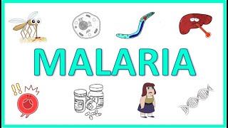 Malaria  Causes Pathogenesis Signs and Symptoms Diagnosis Treatment and Prevention [upl. by Erasaec]