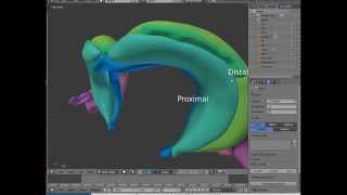 The hippocampal formation a short overview [upl. by Karee]