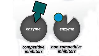 How Enzymes are regulated [upl. by Ihskaneem546]