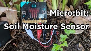 How to use a Soil Moisture Sensor with Microbit [upl. by Anilehcim]