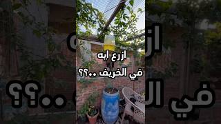 تزرع ايه في الخريف… explore زراعة نباتات علومالزراعه plants اشجار [upl. by Ellednahc]