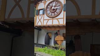 World Largest Cuckoo Clock germany cuckoo shorts [upl. by Bobbye]