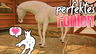 ich züchte einen PERFEKTEN ARABER 🐴⭐️ Rival Stars Horse Racing [upl. by Alket]