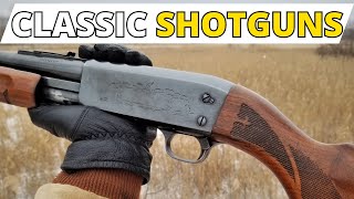 These 5 CLASSIC Shotguns EVERYONE Should Own [upl. by Teevens]