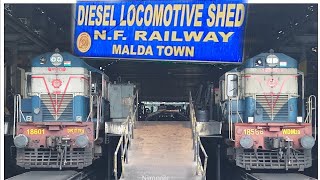 Malda Diesel loco shed  Home of beautiful Malda alcos  ER and NFR border full coverage [upl. by Inod]