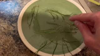 How to propagate Lilaeopsis brasiliensis micro sword [upl. by Gibson]