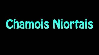 Learn How To Pronounce Chamois Niortais [upl. by Abita]