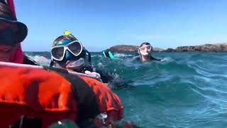 Snorkeling en Tenerife 🤿 [upl. by Carlye]