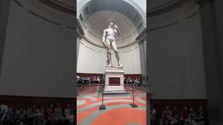 🇮🇹 David of Michelangelo [upl. by Nacim]