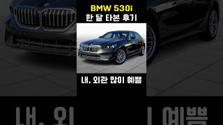 BMW 530i 한 달 타본 후기 [upl. by Alyehs504]