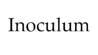 How to Pronounce Inoculum [upl. by Hagar]