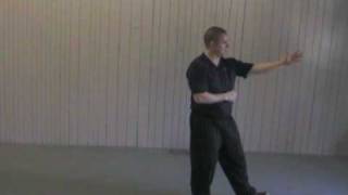 24 Form Tai Chi  Lesson 8  Repulse the Monkey [upl. by Lorinda191]