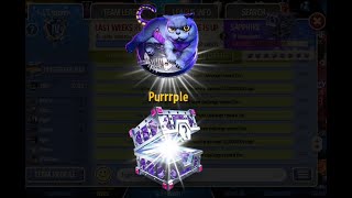 8x Sapphire chest opening  Governor of poker 3  GOP3 Cyber cats event [upl. by Amling]