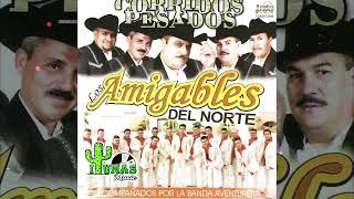 Los Amigables Del Norte  CORRIDOS PESADOS ALBUM COMPLETO [upl. by Aryajay]