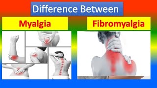 Distinction between Myalgia and Fibromyalgia [upl. by Selie935]