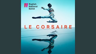 Le Corsaire Pas de Trois  Medora Variation [upl. by Sands]