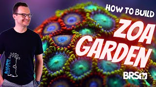 A Simple Zoa Garden for Your First Reef Tank Our Zoanthid Only Build [upl. by Jerrilee82]