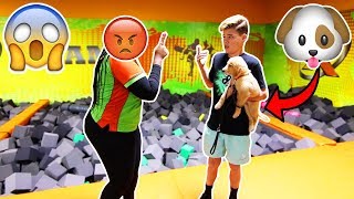 BRINGING MY PUPPY TO A TRAMPOLINE PARK KICKED OUT [upl. by Cleodel159]