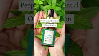 Peppermint Essential Oil  Peppermint Oil  Lafayre [upl. by Kohn]