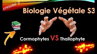 BIOLOGIE VEGETALE S3  EPISODE 2 THALOPHYTES VS CORMOPHYTES [upl. by Behre]