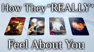 How They REALLY Feel For You ❤️ PICK A CARD 💖 Timeless Tarot Reading [upl. by Samuel676]