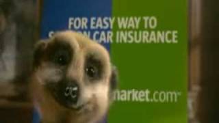 New Compare The Meerkat Advert [upl. by Borroff193]