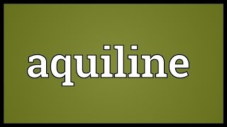 Aquiline Meaning [upl. by Davis]