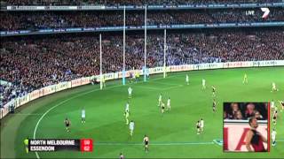 Elimination Final 2014  North Melbourne v Essendon Highlights [upl. by Whiffen]